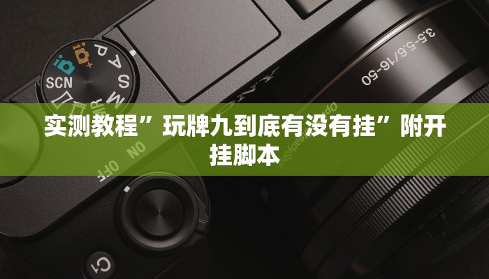 实测教程”WePoKer透视软件挂”开挂(透视)辅助教程 实测教程”WePoKer透视软件挂”开挂(透视)辅助教程