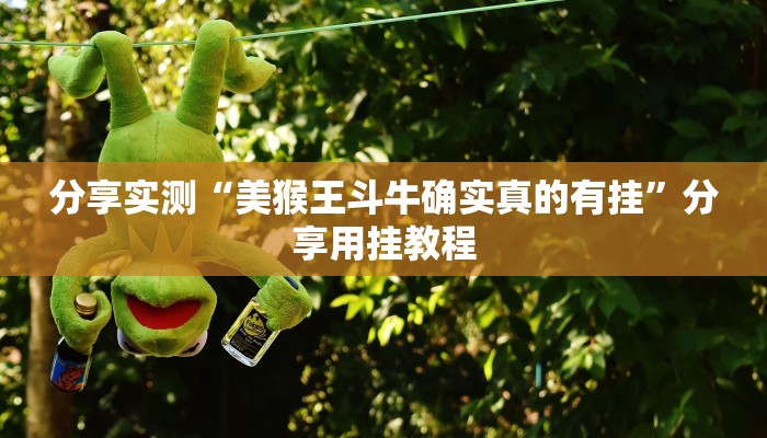 辅助神器“圣盛阳新麻将透视挂真的吗”分享必要外挂教程 辅助神器“圣盛阳新麻将透视挂真的吗”分享必要外挂教程