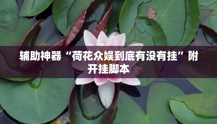 辅助开挂神器“决胜奕福麻将到底有没有挂”(透视)其实确实有挂