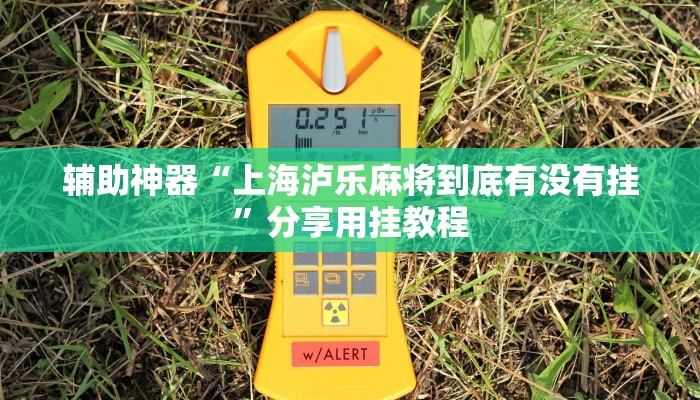 实测教程”吉祥填大坑辅助器通用版”附开挂脚本 实测教程”吉祥填大坑辅助器通用版”附开挂脚本