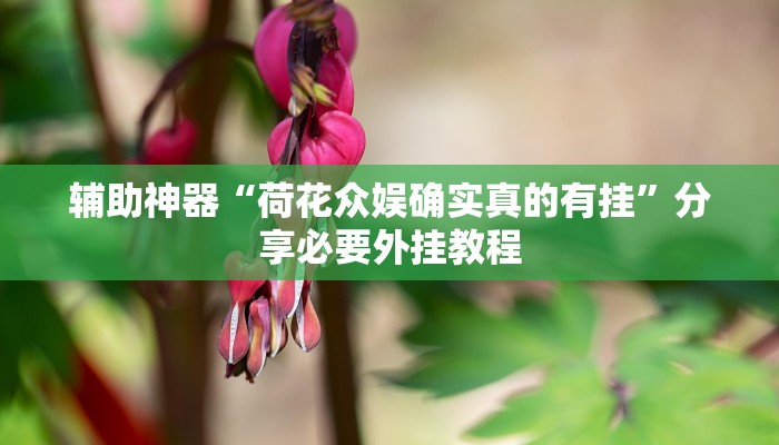 万能开挂辅助“微乐跑得快万能开挂器通用版”(透视)其实确实有挂 万能开挂辅助“微乐跑得快万能开挂器通用版”(透视)其实确实有挂