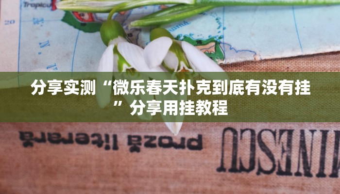 辅助神器“休闲互娱可以开挂吗”分享用挂教程