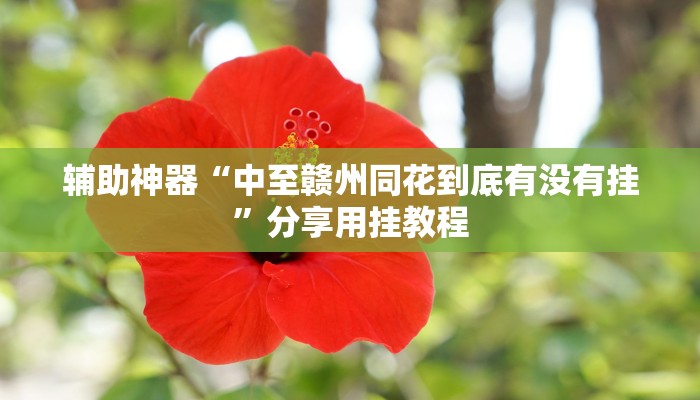 分享实测“爱玩麻将怎么开挂”附开挂脚本 分享实测“爱玩麻将怎么开挂”附开挂脚本