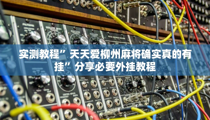 辅助神器“原味麻将是不是有挂”附开挂脚本