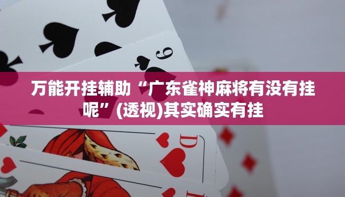 教程开挂辅助“开心十三张开挂神器”(透视)其实确实有挂