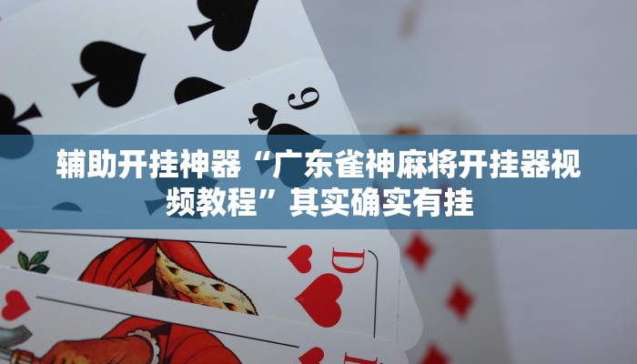 辅助神器“友友麻将开挂神器”附开挂脚本