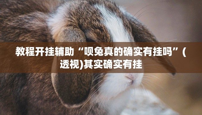 万能开挂辅助“同城搓麻将真的有挂”附开挂脚本