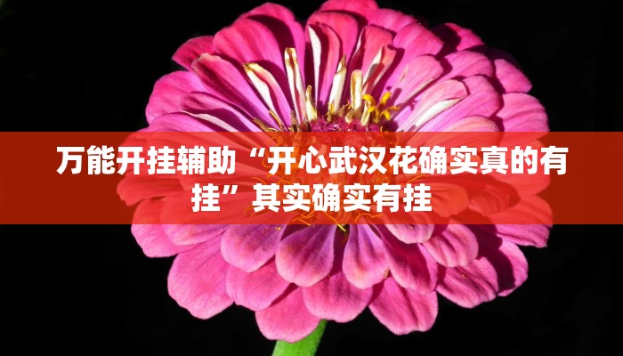 分享实测“聚友合集怎么开挂”分享必要外挂教程