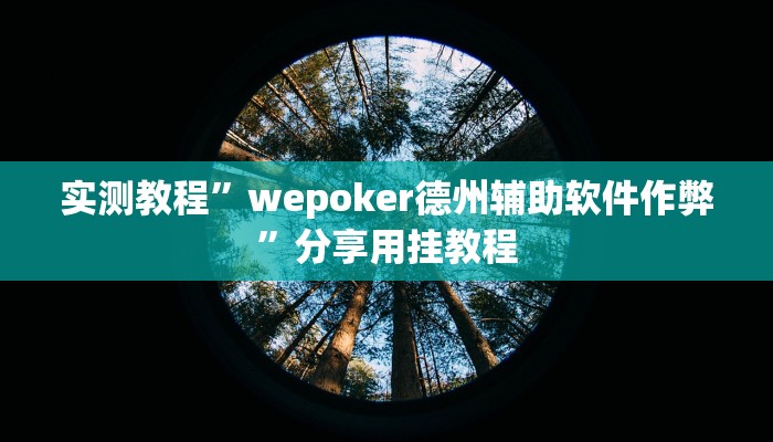 实测教程”蜀州麻将石城确实真的有挂”分享用挂教程