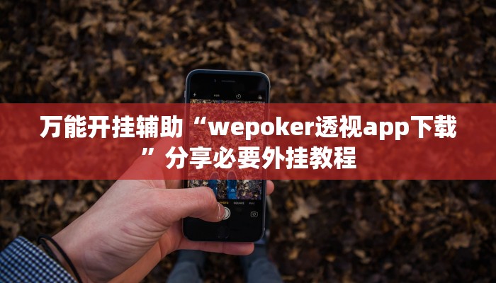 实测教程”福建兄弟十三水其实真有透视挂”分享必要外挂教程