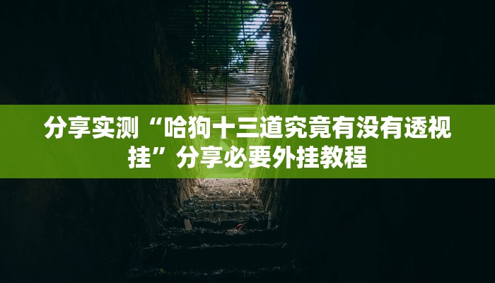万能开挂辅助“广西十三水万能辅助器”开挂(透视)辅助教程