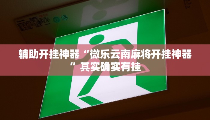 辅助开挂神器“微乐云南麻将开挂神器”其实确实有挂