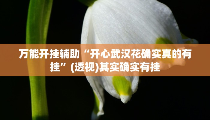 万能开挂辅助“疯狂斗牛王有挂开挂方法”分享必要外挂教程