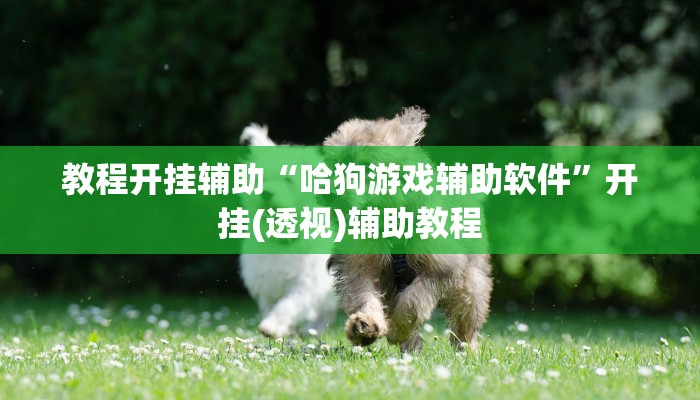 教程开挂辅助“哈狗游戏辅助软件”开挂(透视)辅助教程