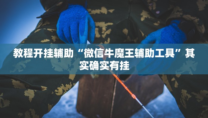 万能开挂辅助“宁波竞技馆确实真的有挂”其实确实有挂