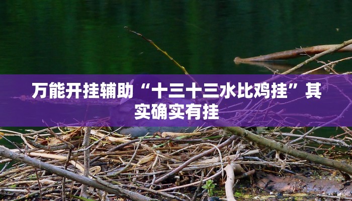 万能开挂辅助“十三十三水比鸡挂”其实确实有挂