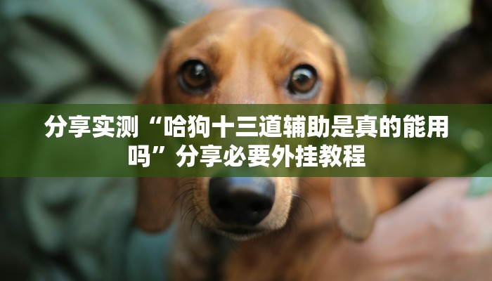 万能开挂辅助“西八一字牌辅助神器”分享用挂教程 万能开挂辅助“西八一字牌辅助神器”分享用挂教程