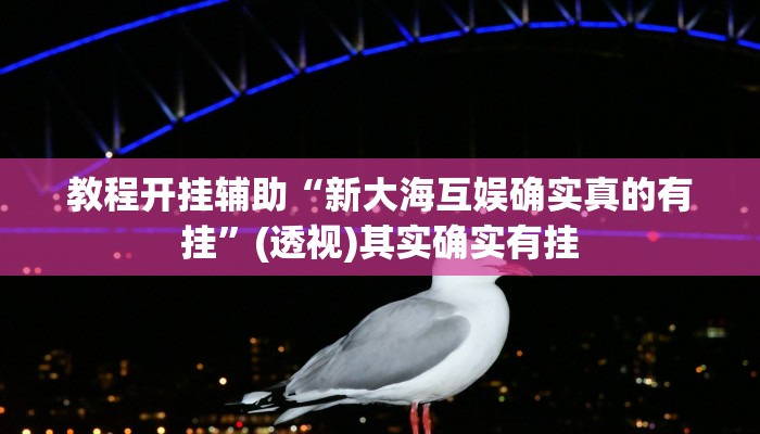 教程开挂辅助“新大海互娱确实真的有挂”(透视)其实确实有挂
