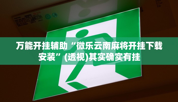 教程开挂辅助“新星游开挂透视辅助软件”其实确实有挂