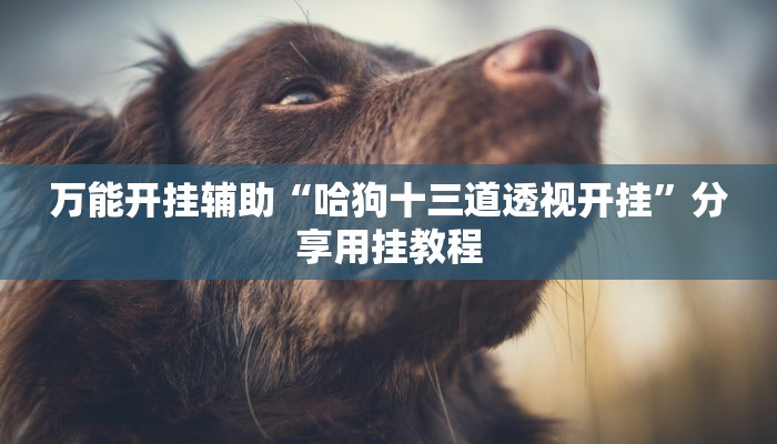 万能开挂辅助“边锋跑得快开挂教程方法”(透视)其实确实有挂