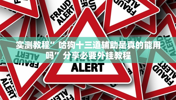 实测教程”哈狗十三道辅助是真的能用吗”分享必要外挂教程