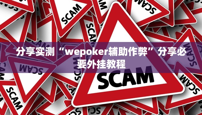 辅助神器“wepoker挂透视辅助挂软件”附开挂脚本