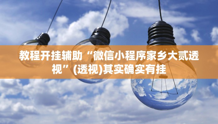 教程开挂辅助“微信小程序家乡大贰透视”(透视)其实确实有挂