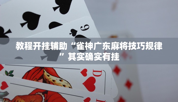 教程开挂辅助“雀神广东麻将技巧规律”其实确实有挂