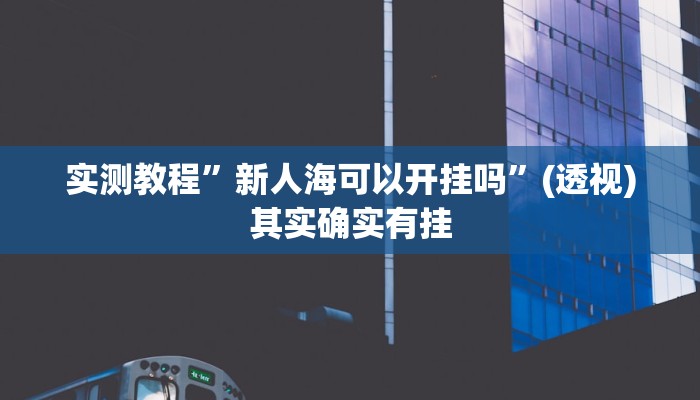 实测教程”新人海可以开挂吗”(透视)其实确实有挂