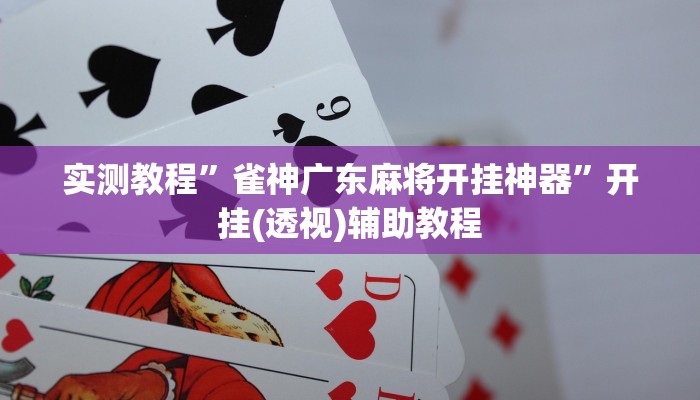 实测教程”雀神广东麻将开挂神器”开挂(透视)辅助教程