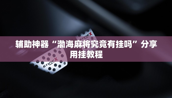 万能开挂辅助“立鸿字牌怎么开挂”开挂(透视)辅助教程