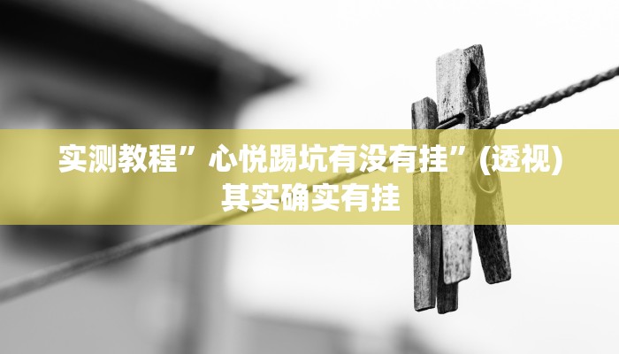 实测教程”心悦踢坑有没有挂”(透视)其实确实有挂