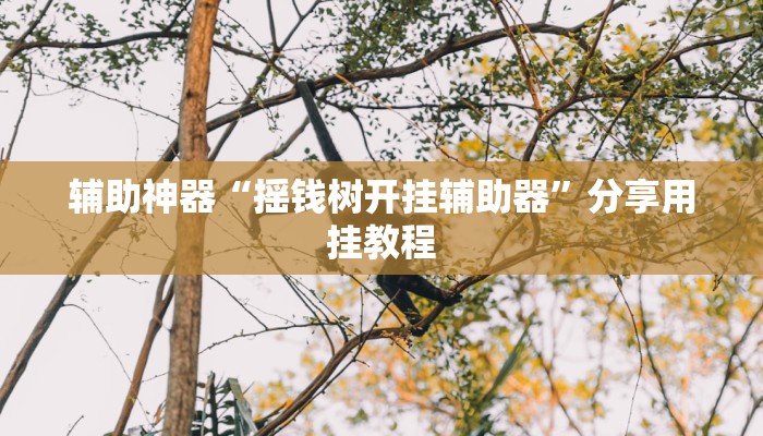 辅助神器“一乐麻将万能开挂神器”分享用挂教程 辅助神器“一乐麻将万能开挂神器”分享用挂教程