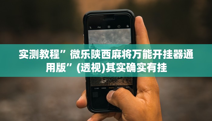 实测教程”17麻将大菠萝软件挂”开挂(透视)辅助教程