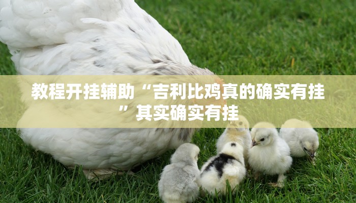 分享实测“微乐浙江麻将万能开挂器”分享用挂教程