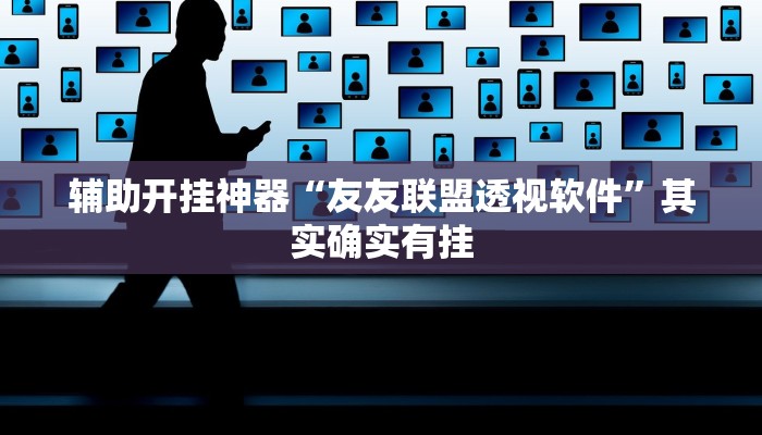 辅助开挂神器“友友联盟透视软件”其实确实有挂
