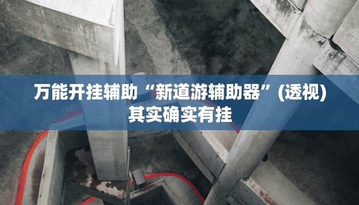 教程开挂辅助“东方十三道辅助器”开挂(透视)辅助教程