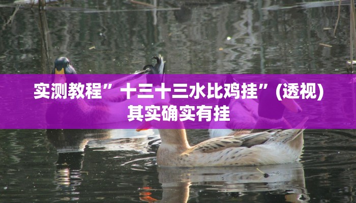 实测教程”十三十三水比鸡挂”(透视)其实确实有挂