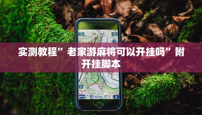 分享实测“友友沛县麻将可以开挂吗”分享必要外挂教程