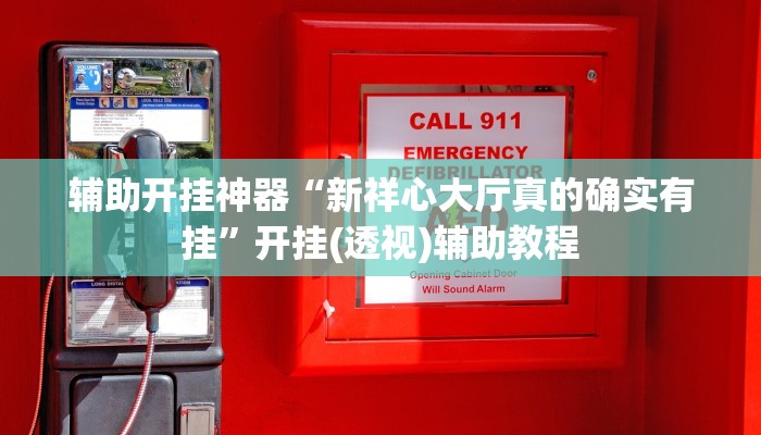 辅助开挂神器“新祥心大厅真的确实有挂”开挂(透视)辅助教程