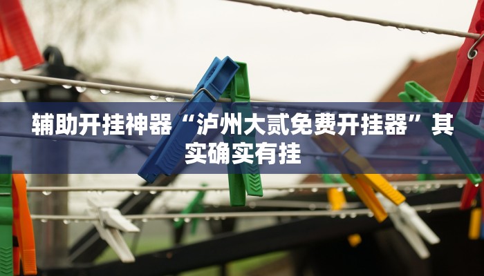 辅助开挂神器“泸州大贰免费开挂器”其实确实有挂