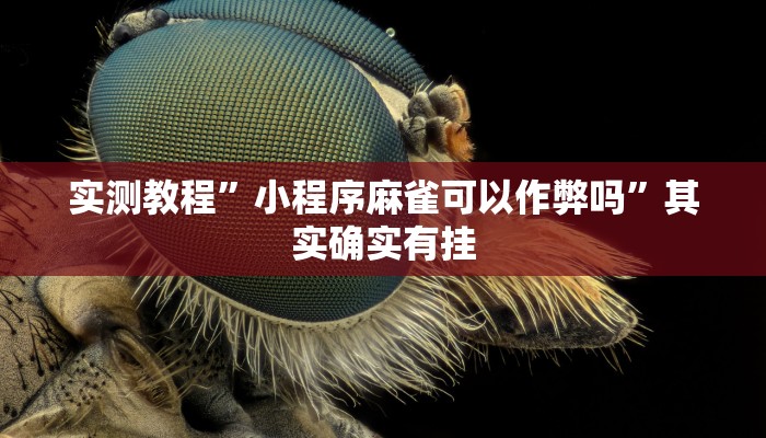 教程开挂辅助“陕麻圈是不是可以作弊”(透视)其实确实有挂