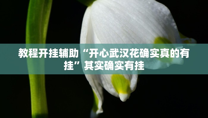 辅助神器“蜀山麻将开挂神器下载”分享用挂教程
