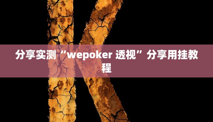 分享实测“wepoker 透视”分享用挂教程
