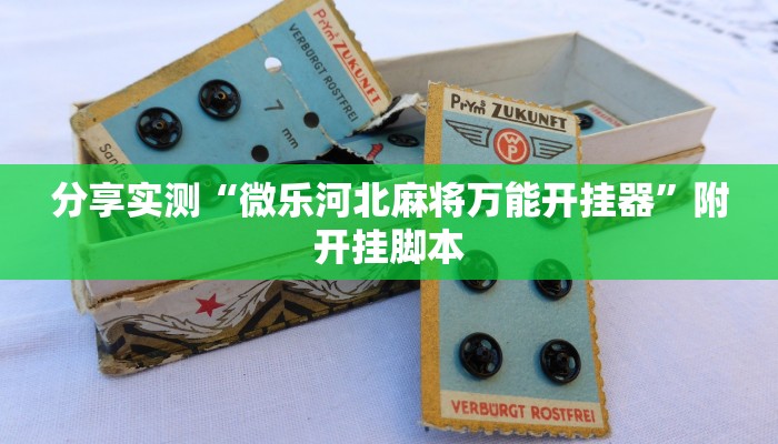 分享实测“微乐河北麻将万能开挂器”附开挂脚本