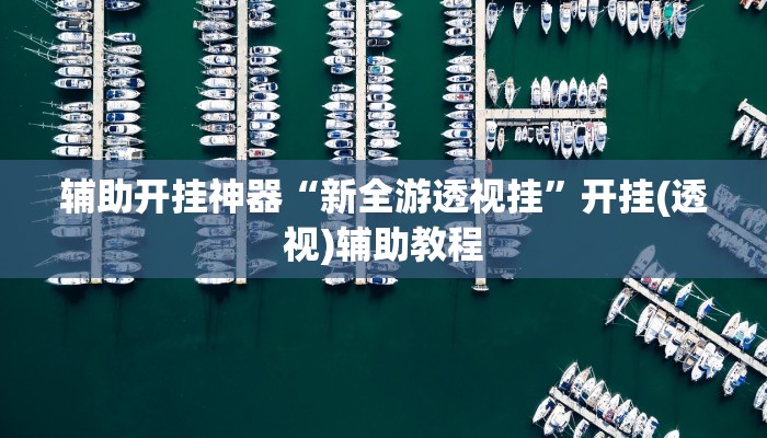 辅助开挂神器“新全游透视挂”开挂(透视)辅助教程