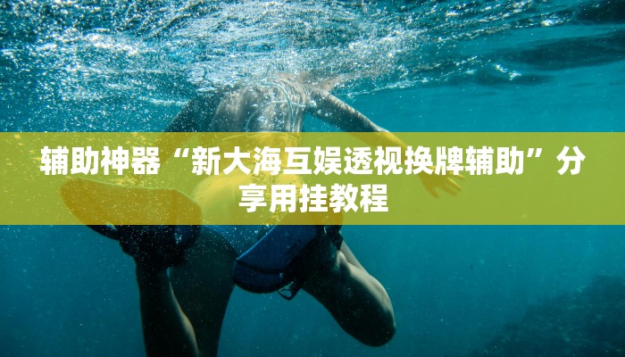 辅助神器“新大海互娱透视换牌辅助”分享用挂教程