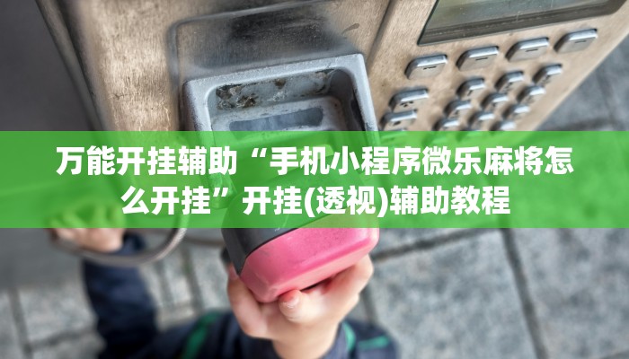 万能开挂辅助“手机小程序微乐麻将怎么开挂”开挂(透视)辅助教程