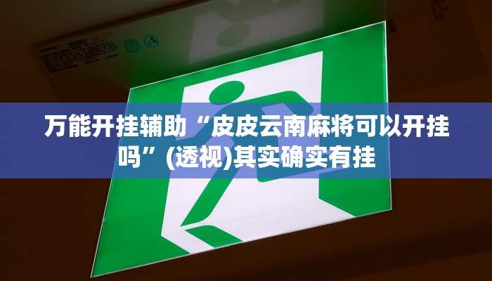 万能开挂辅助“皮皮云南麻将可以开挂吗”(透视)其实确实有挂