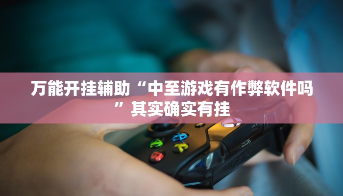 万能开挂辅助“中至游戏有作弊软件吗”其实确实有挂